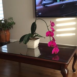 Meet your Posher, Marie-claude